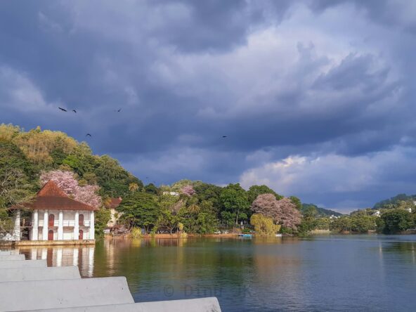 Find Your Best View Land in Kandy