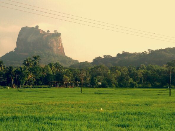 Can Foreigners Buy Lands in Sri Lanka?